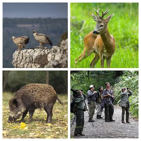 Merindades Amazul Milano - Piso Turistico - *